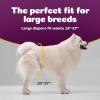 imageInspire Pet Care Dog Diapers Female Dogs  Bulk Value Doggie Incontinence Accidents for Heat Pee or Period and Housebreaking Small 50 CountLarge 30 Count