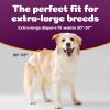 imageInspire Pet Care Dog Diapers Female Dogs  Bulk Value Doggie Incontinence Accidents for Heat Pee or Period and Housebreaking Small 50 CountXLarge 28 Count