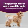 imageInspire Pet Care Dog Diapers Female Dogs  Bulk Value Doggie Incontinence Accidents for Heat Pee or Period and Housebreaking Small 50 CountXSmall 100 Count